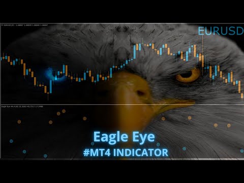 Video Eagle Eye Indicator
