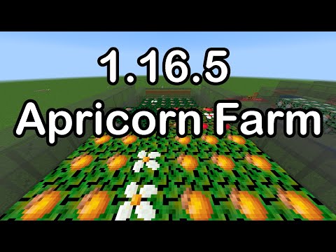 Pixelmon 1.16.5 | Automatic Apricorn Farm Tutorial