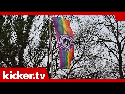 Abgestürzte Vereine: TeBe Berlin: Vom "Scheitern mit Ansage" zum Plan der Rückkehr