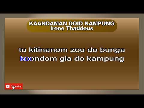 KAANDAMAN DOID KAMPUNG Irene Thaddeus #irenethaddeus #kaandamandoidkampung