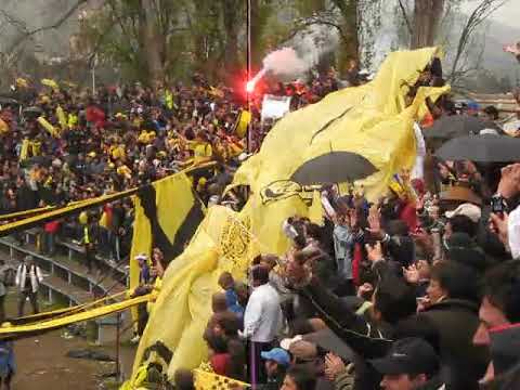 "union la calera 0 san luis de quillota 1 mario daniel pierani año 2009(existiamos)" Barra: Ultra Kanaria &bull; Club: San Luis de Quillota &bull; País: Chile