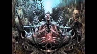 Human Parasite - Tortured By Psychopath Soul