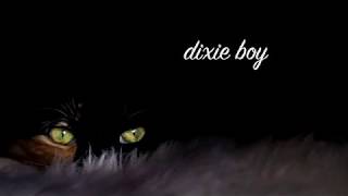 LYRICS | Dixie Boy - April Smith &amp; the Great Picture Show