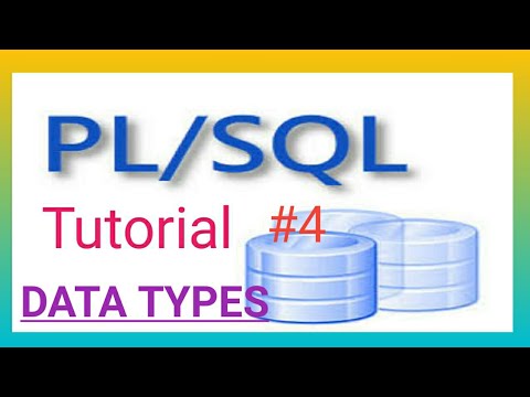 Learn Plsql Data Types