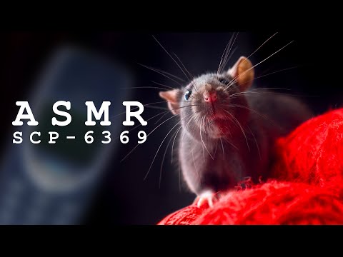 [ASMR] SCP-6369: "Rat lost and found" - A Binaural SCP Reading