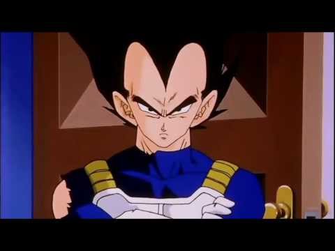 Vegeta and Trunks emerge from the Hyperbolic Time Chamber