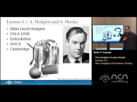 nanoHUB-U Bioelectricity L4.1: Hodgkin-Huxley Model - Alan Hodgkin and Andrew Huxley
