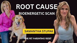 Itch, Gut, Allergies: How Bioenergetic Scans Find Root Cause