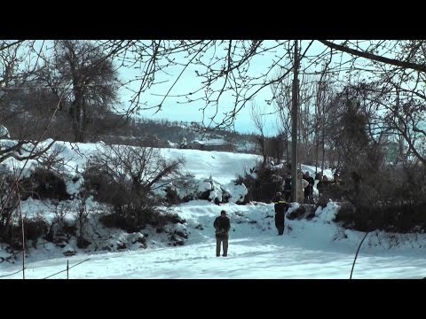 A1 Report - Mungesa e energjisë nga moti i keq  OSHEE shpall gjendjen emergjente