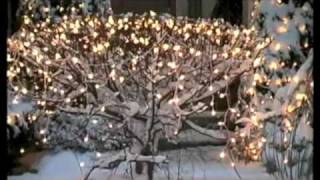 It&#39;s the most wonderful time of the year - Andy Williams