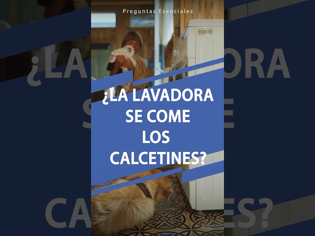 Vídeo relacionado con Par de Calcetines + 1 calcetín de regalo por el quese pierde en la lavadora | Escudo La Real Sociedad | Personalizado con nombre | Tacto algodón | Talla única | Haz un regalo único y divertido