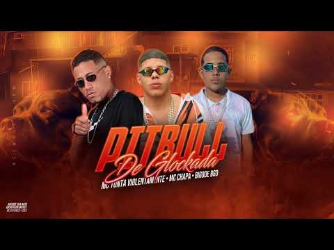 Mc Tonta Violentamente, Mc Chapa, Bigode BGD - Pit Bull de Glockada