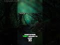 Exploring a Hidden Civilization Unveiling the Forgotten Ruins in the Forest