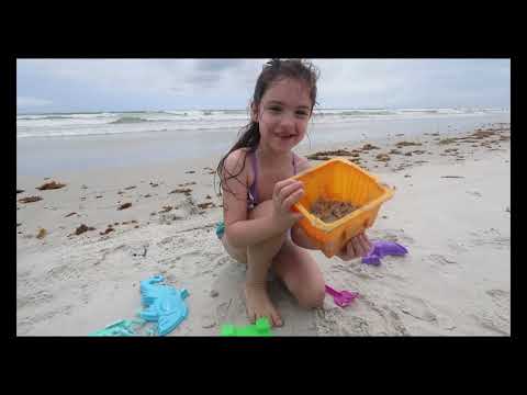 Fun Day At The Beach | Beach | Family Fun Day | Building Sandcastle | Finding Crabs | kids Fun