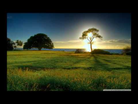 Fratele Ioan Suciu - Biserica zilelor din urma