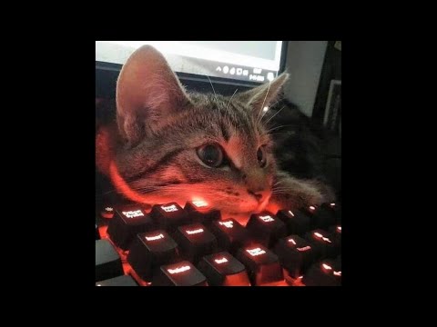 *Free for profit* Hyperpop x Sqwore x  LXNER type beat - "sun" (Prod. Anonimoch x zerobalance)