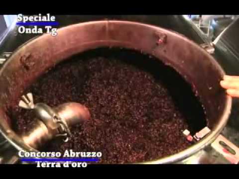ONDA TG 28.05.2013 - APPROFONDIMENTO CONCORSO ABRUZZO TERRA D'ORO