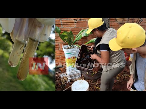 SENEPA DESPLIEGA OPERATIVO ESTIVAL CONTRA EL DENGUE EN ITAPÚA