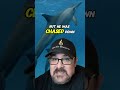 This Miracle Dolphin Rescue! 😱 🤯 #miraculous #supernatural #jesus