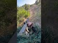 300 Vs 30 Ghillie Suit Airsoft Ghilliesuit Sniper Funny Ghillienotfound