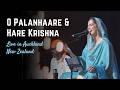 O Palanhaare Hare Krishna Chanting Live In New Zealand Amrita Kaur