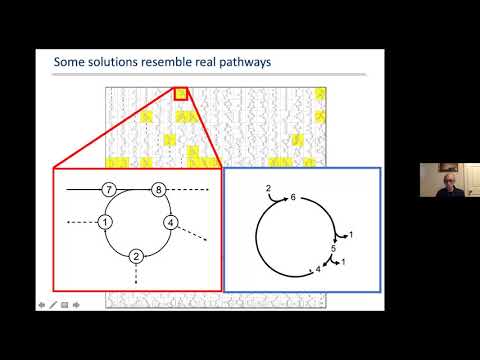 2020 12 09 17 00 smr3486From genome-scale to ecosystem-level modeling of metabolism - Part 1
