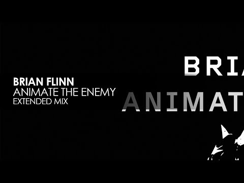 Brian Flinn - Animate The Enemy