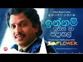 INNAM ITHIN MA KUMARASIRI PATHIRANA With Sunflower