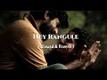 Hey Rangule Slowed Reverb Amaran Sivakarthikeyan Saipallavi Gv Prakash