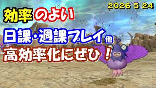 【ドラクエ10生配信No.317】効率のよい日課・週課など　2026.5.24