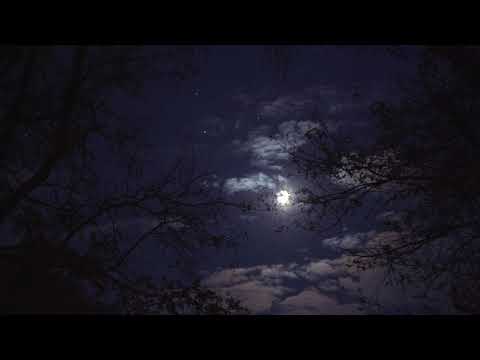 10 Hour Bilateral Music for Deep Sleep, Relaxation, Anxiety and Stress Relief, etc.