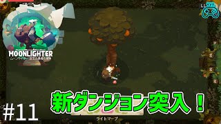 #11【Moonlighter】経営と冒険の始まり / 実況プレイ【NAO】