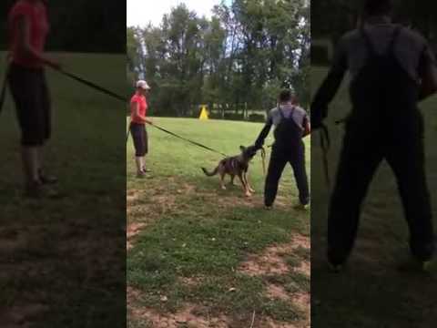 Logan z Jukasu - Protection - 7 months