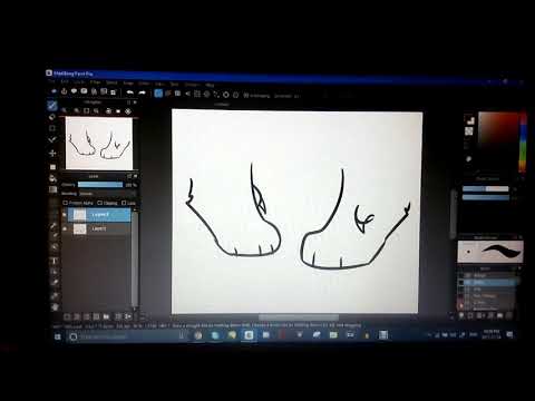 dew claws (a lesson on feline anatomy)