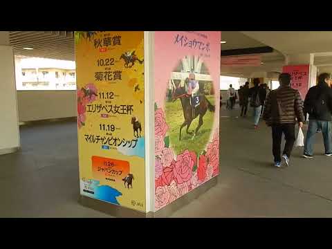 競馬2017 第42回エリザベス女王杯/今年の入場ゲートの装飾(2017.11.12)