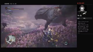 イビルジョーころす