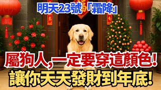 生肖狗，明天23號，農曆九月初三是「霜降」，你穿這顏色衣服最招財！讓你天天發財到年底！#屬狗 #屬狗運勢 #財運 #招財 #霜降 #開運 #改運 #發財 #旺財 #顏色 #穿搭 #生肖運勢 #命理