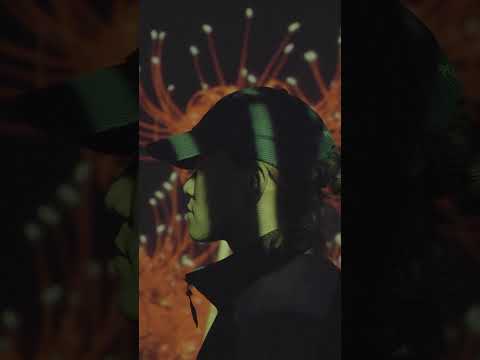 RONiN 0 | Yukiko Masui [Here We Live And Now 2024]