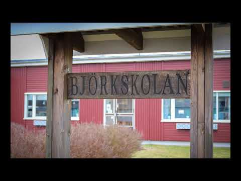 Björkskolan - Resan till Kina