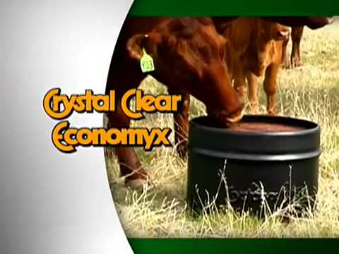 Crystal Clear Economyx®