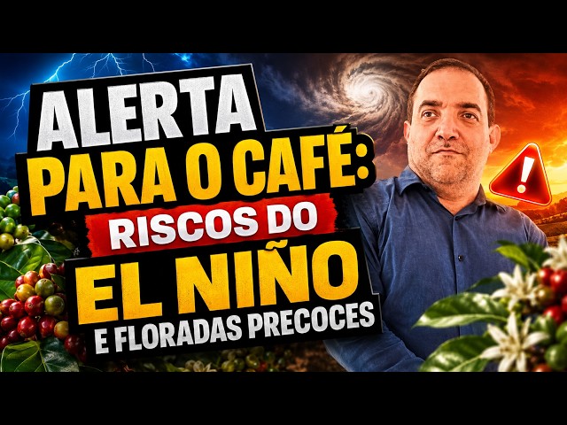 Alerta para o café: riscos do El Niño e floradas precoces.