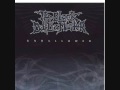The Black Dahlia Murder-Funeral Thirst