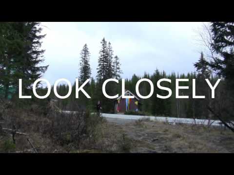 illuminati confirmed