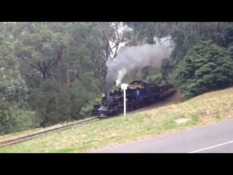 Puffing Billy Melbourne