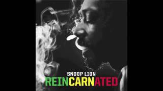 Snoop Lion (feat. Busta Rhymes and Chris Brown) - Remedy.mp4