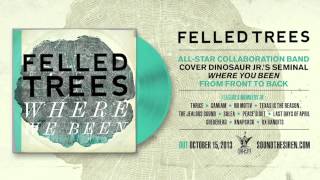 Felled Trees - Goin' Home feat. Jason Beebout (Samiam) (Dinosaur Jr.)