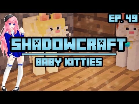 Baby Kitties | ShadowCraft | Ep. 49