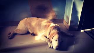 The Call Of Thy Self!