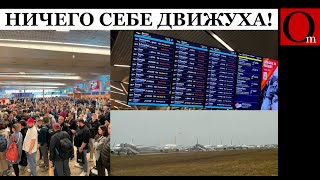 Самая массовая атака на РФ: 447 беспилотников, коллапс в аэропортах, проблемы со связью