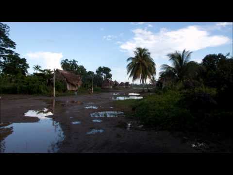 Maestro Daniels Icaro